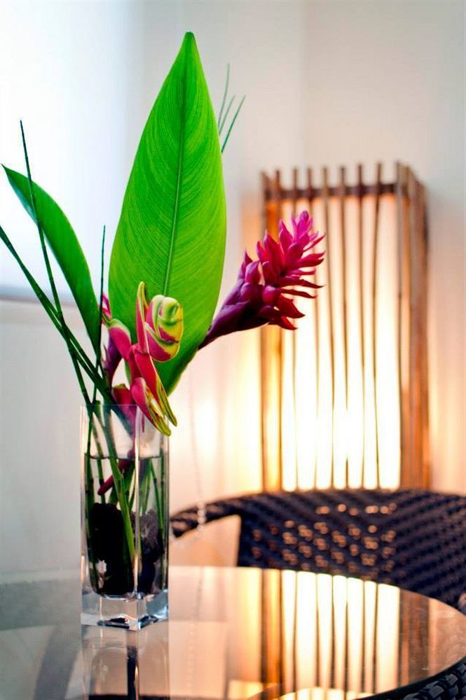 Natures Garden Park Resort And Spa Lapu-Lapu City Exteriör bild